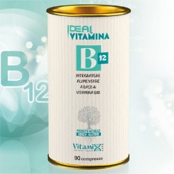 Ideal Vitamina B12